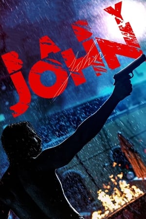 Baby John (2024) Hindi (DD5.1)