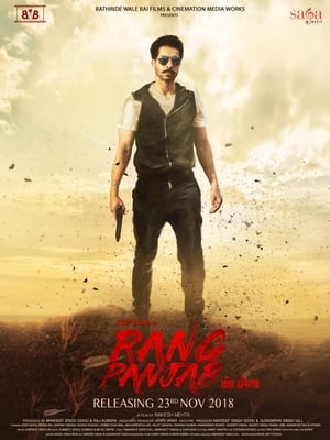 Rang Panjab (2018) Punjabi Movie Pre- [700MB]