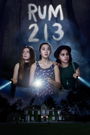 Rum 213 2017 Hindi Dual Audio 280MB